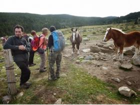 photo coins arrondis